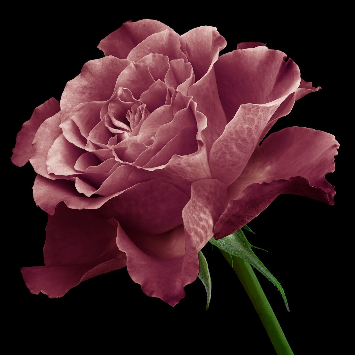 Slideshow Image 1