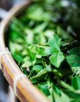 Close-up of a woven basket filled with fresh Tung Ting Green Dragon Oolong tea leaves from Magic Hour. The basket's rim is visible along the left side and bottom left corner, while the Taiwanese tea leaves fill the frame, creating a lush and vibrant texture. The background is blurred.