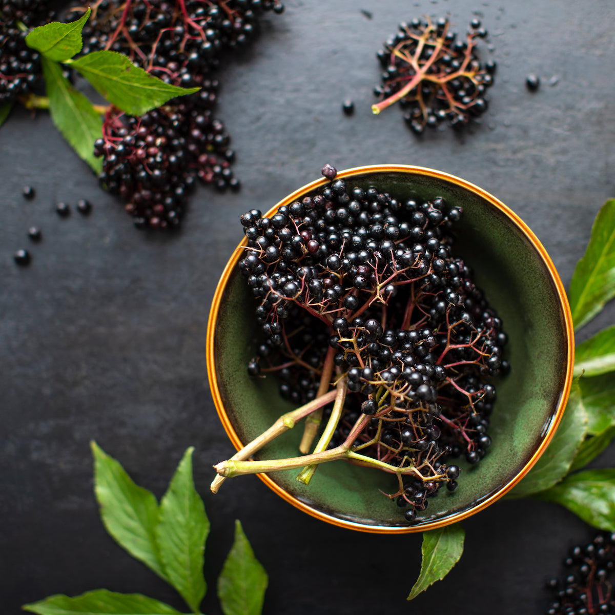 A green ceramic bowl filled with ripe, dark purple elderberries sits on a dark surface. Loose elderberries and green leaves are scattered around the bowl, complementing the vibrant yet natural composition of the image.