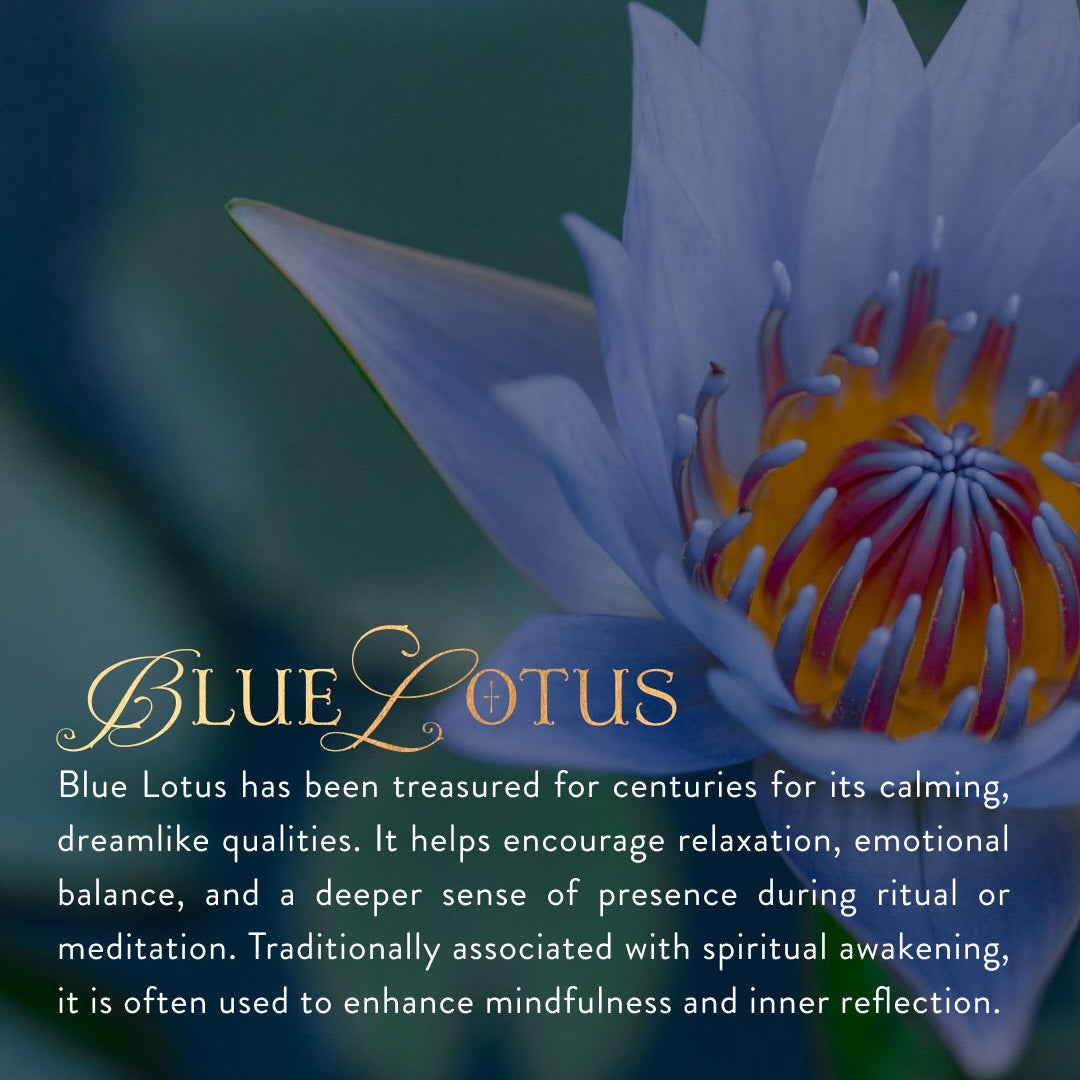 A close-up of Organic Blue Lotus Flowers with text highlighting their calming effects and traditional use in ceremonial tea for spiritual awakening, mindfulness, and meditation.