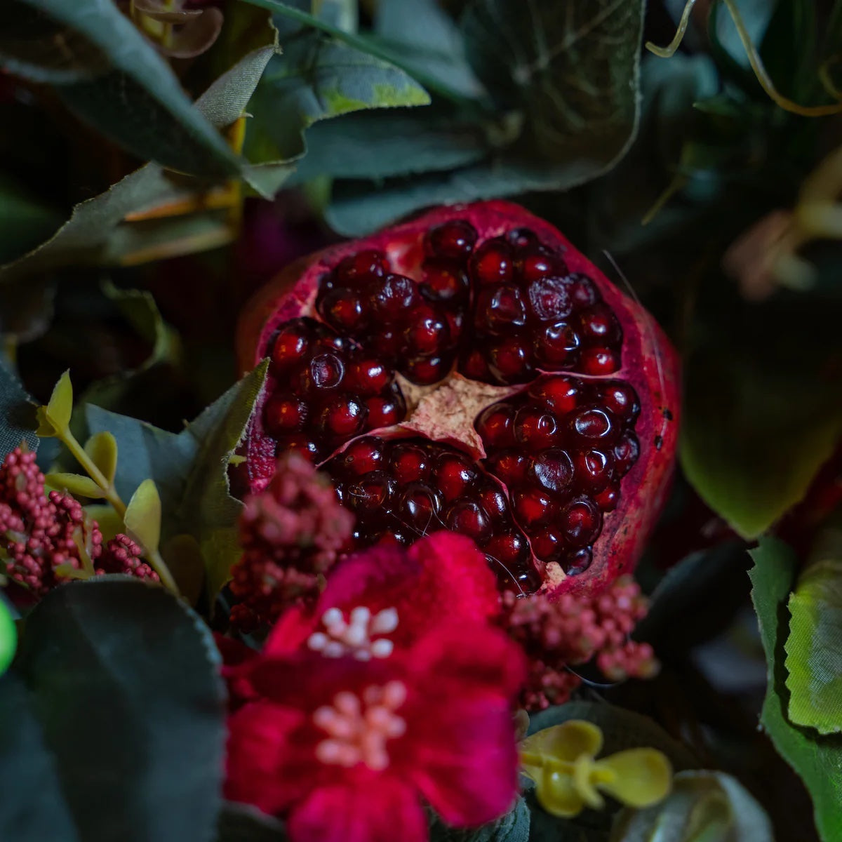 Pomegranate Extract