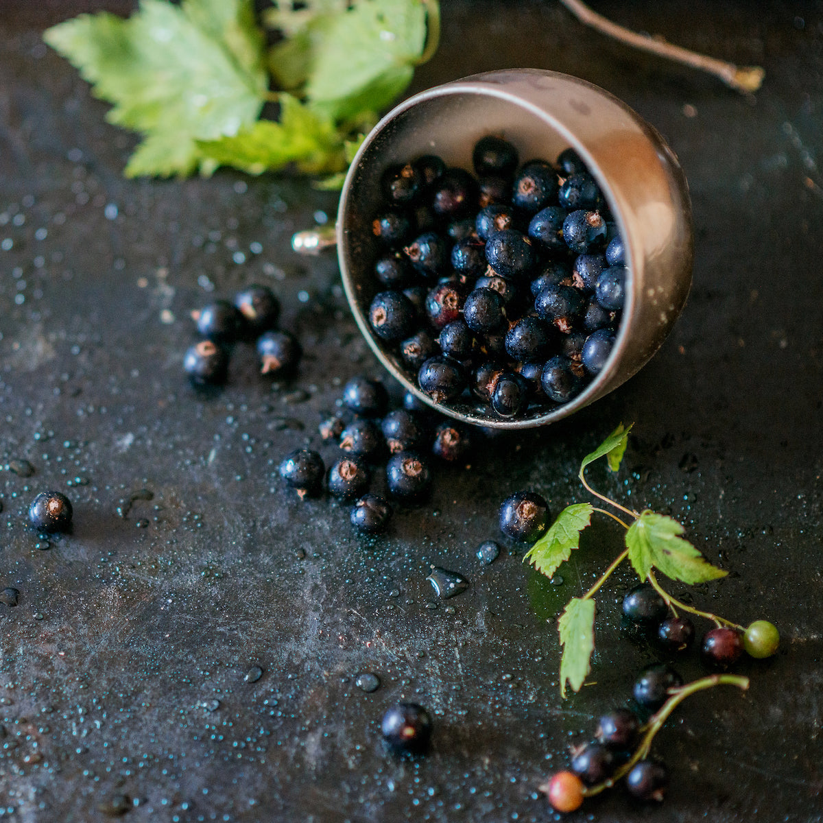Kir Royale - Sweet Currant & Champagne White Tea | Magic Hour