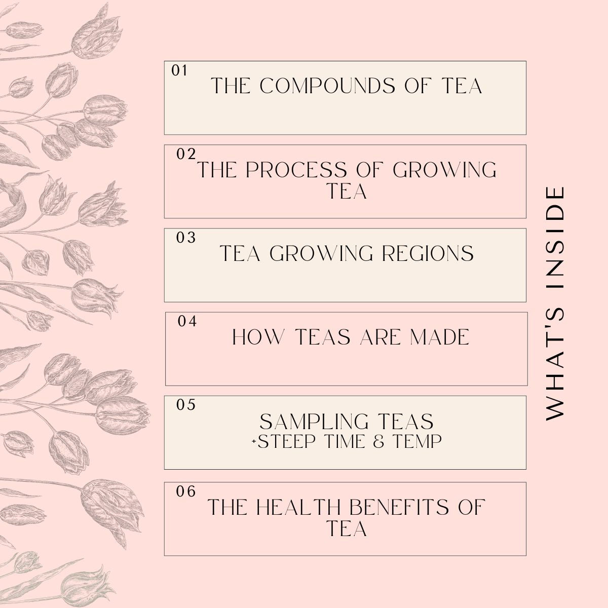 The Tea Essentials Course Workbook features a pink slide with floral graphics listing six topics: tea compounds, growth process, regions, tea-making steps, tasting charts (steep time & temp), and health benefits. "What's Inside" runs vertically.