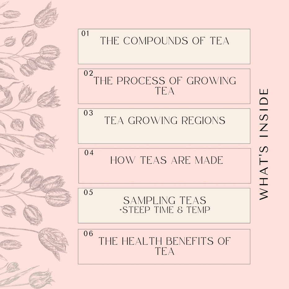 Tea Essentials Course Workbook – Magic Hour