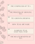 The Tea Essentials Course Workbook features a pink slide with floral graphics listing six topics: tea compounds, growth process, regions, tea-making steps, tasting charts (steep time & temp), and health benefits. "What's Inside" runs vertically.