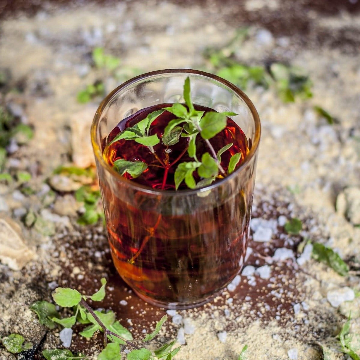 A glass of dark brown iced Bliss: Sacred Tulsi Adaptogen Tea from Magic Hour garnished with fresh mint leaves sits on a surface sprinkled with coarse salt and scattered green herbs. The translucent drink reveals the mint leaves, giving it a refreshing and earthy appearance.