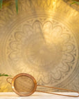 A Rose Gold Matcha Sift rests on a white surface with a detailed, golden mandala pattern in the background, illuminated by warm, soft lighting. Green foliage partially frames the scene, contributing to the serene and elegant ambiance—perfect for a moment with Magic Hour.