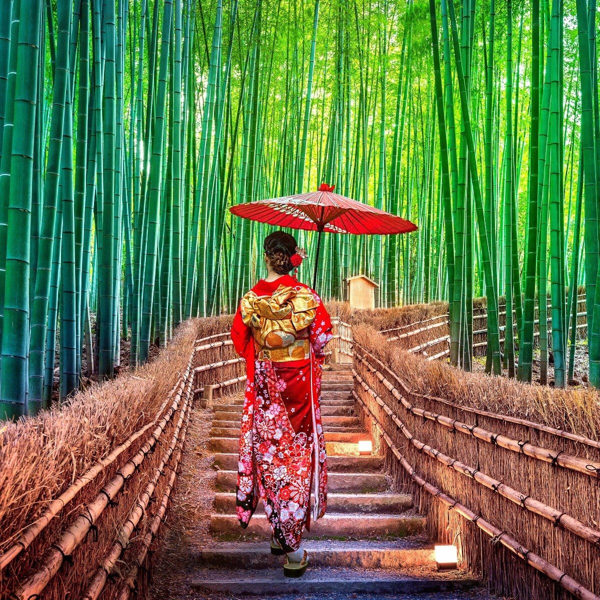 A person wearing a traditional red and gold kimono and holding a red umbrella walks along a pathway lined with bamboo on both sides. The scene is vibrant and serene, much like the calming experience of enjoying Kansai-Kyoto Ceremonial Matcha by Magic Hour, with lush green bamboo towering above.