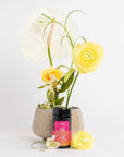 A small gray pot with yellow and white flowers on a white background sits behind a black container of Mercury Mint Daytime: Vanilla Mint Lavender Jasmine Black Tea, adorned with a pink label featuring graphic designs and text. A yellow flower lies next to the container on the surface.