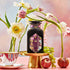 A bottle of "Breakfast in Paris-Oolong Black Tea Scented with Fruits & Flowers of Secret Parisian Gardens" is elegantly showcased on a gold stand, accompanied by flowers, fruits, and a teacup with a saucer. The background captures the essence of secret Parisian gardens, featuring a pastel gradient of soft pink, blue, and yellow tones.