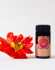 Audacious™ Tea for the Root Chakra-Violet Glass Traveler Jar-Magic Hour