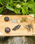 Biodynamic Handmade Blooming Tea-3 Blooms (3-Pots of Tea or 12 Cups)-Magic Hour