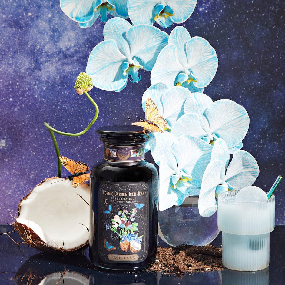 Butterfly Blue Coconut Cream Iced White Tea-Violet Glass Apothecary Jar (Includes with 12 Cold-Steep Sachets)-Magic Hour