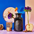 Capricorn: Maple Oolong Tea-Violet Glass Apothecary Jar (60-75 Cups)-Magic Hour