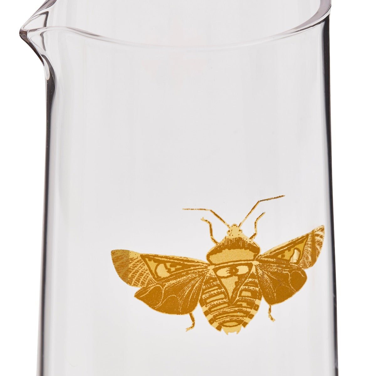 Creatures of Curiosity Carafe with Tumbler - Thumbnail 4