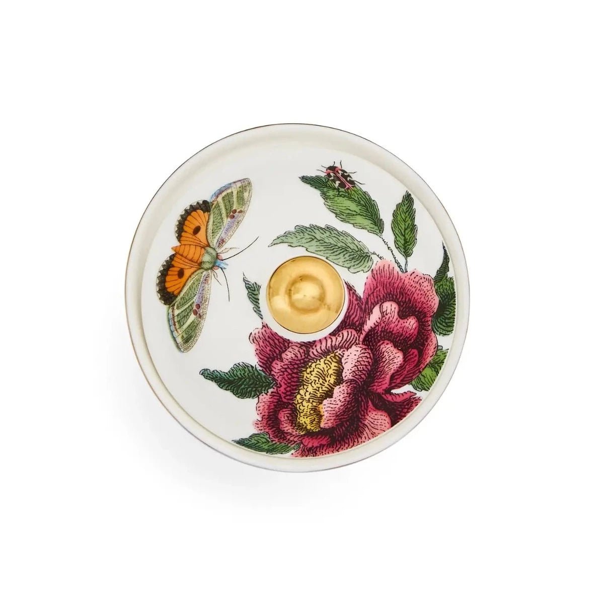 Creatures of Curiosity - Sugar Bowl - Thumbnail 4