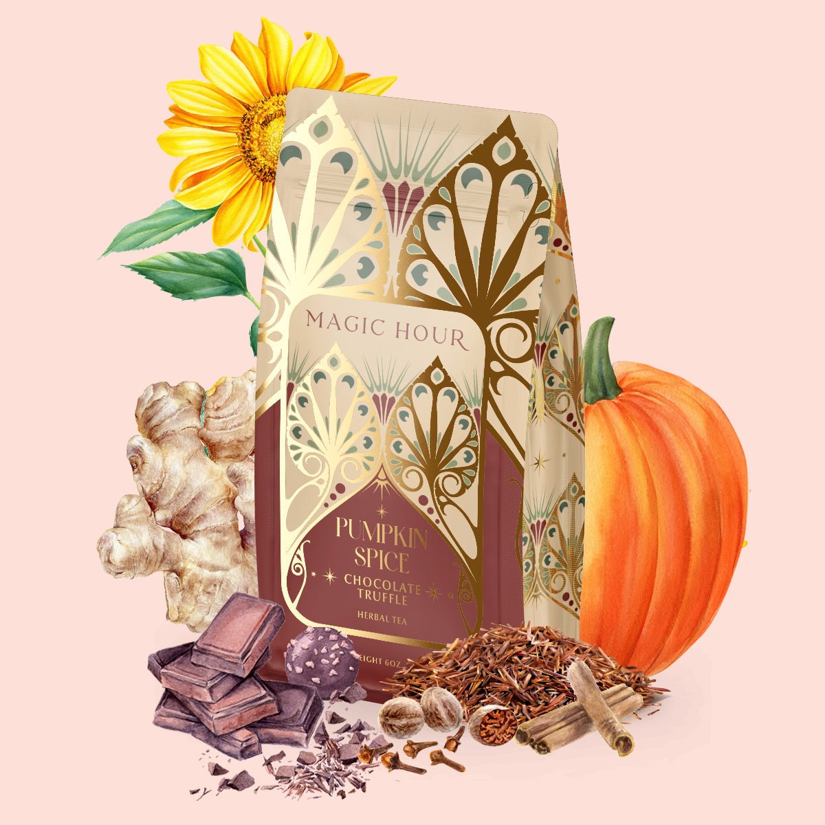 Pumpkin Spice Chocolate Truffle | Magic Hour