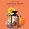 Pumpkin Spice Chocolate Truffle-Violet Glass Apothecary Jar (up to 75 cups)-Magic Hour