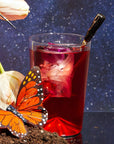 The Best of Summer Poolside Sips Seasonal Box!--Magic Hour