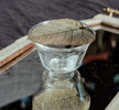 Turning of a Leaf - Golden Tea Strainer--Magic Hour