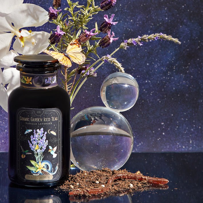 Vanilla Lavender Black Iced Tea-Violet Glass Apothecary Jar (Includes with 12 Cold-Steep Sachets)-Magic Hour