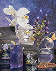 Vanilla Lavender Black Iced Tea-Violet Glass Apothecary Jar (Includes with 12 Cold-Steep Sachets)-Magic Hour